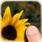tap2focus (AppStore Link)