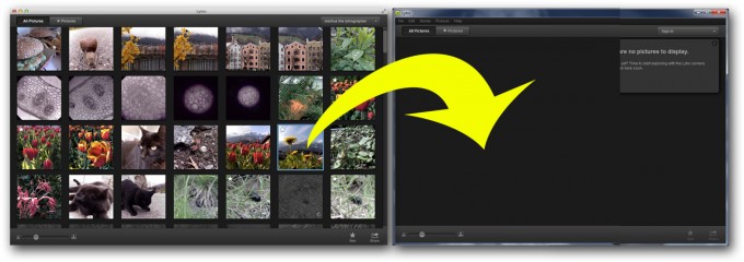 How to transfer your LightField Pictures from the Mac to the Windows Desktop Software