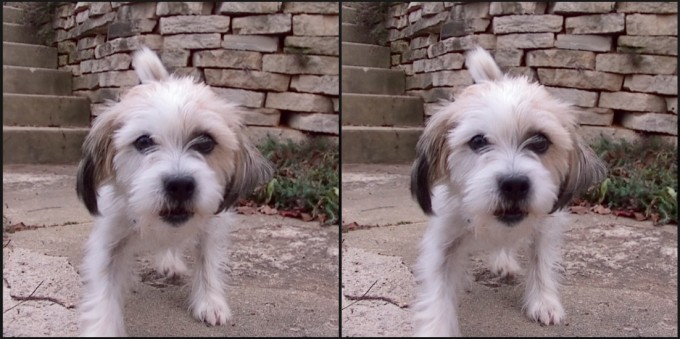 How to Create Stereoscopic Cross-View 3D Pictures from Lytro Images (picture: Jeff Wilson)