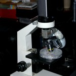 Lytro Kamera integriert in ein Beck Metallurgik Mikroskop (Foto: Peter Lee)