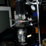 Prototyp #4: Lytro/Zeiss LichtFeld Mikroskop mit Durchlicht, Aufbau inspiriert durch das Harvard Plenoptic Microscope (Foto: Peter Lee)