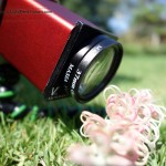 Lytro LichtFeld Kamera mit Viewpoint Laboratories Filter-Adapter und +10 Makrolinse. Wäre dieses Bild nur refokussierbar...
