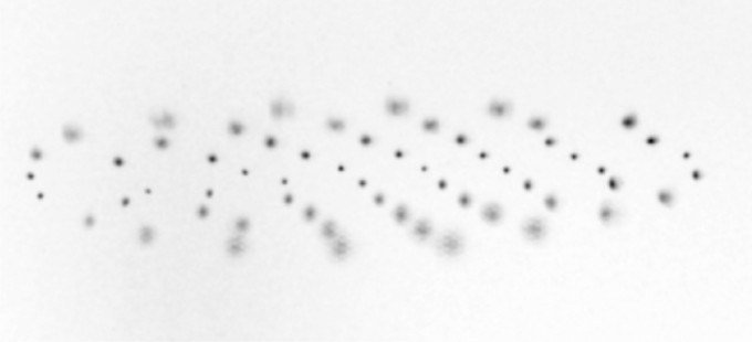 A microparticle plasma cloud reconstructed using the Lytro LightField Camera (picture: Hartman et al. 2013)