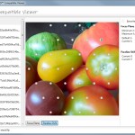 Lytro Compatible Viewer: Parallaxen-Verschiebung mit berechnetem Bildstapel