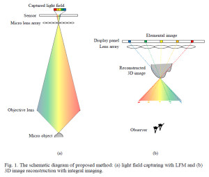 Light Field Microscopy: New Imaging System Allows Real-Time 3D Microscopy (image: Kim et al. 2014)