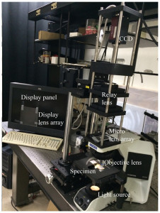 Lichtfeld-Mikroskop: Neues System ermöglicht 3D-Microskopie in Echtzeit (Bild: Kim et al. 2014)