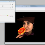 Raytrix LightfieldViewer: Advanced Options with Depth Scaling, Synthetic Depth of Field and Blur Strength