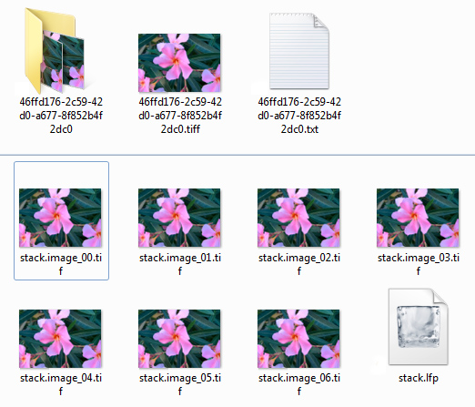 Folder contents of an "Editable Living Picture", exported from Illum sample Raw file using Lytro Desktop 4.0