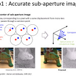 Geometrische Kalibrierung von MLA-basierten Lichtfeld-Kameras auf Basis von Linien-Charakteristika in RAW-Bildern (Bild: Bok et al. 2014)