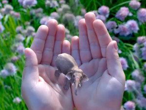 Light-field powered Virtual Reality: Magic Leap secures 542 Million Dollars in Funding from Google and others (image: Magic Leap)