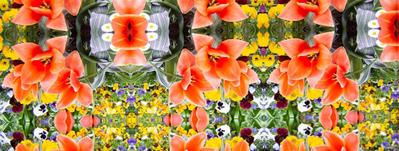 K|Lens sample photo - Spring flowers, "raw" kaleidoscopic view