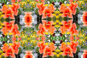 K|Lens sample photo - Spring flowers, "raw" kaleidoscopic view