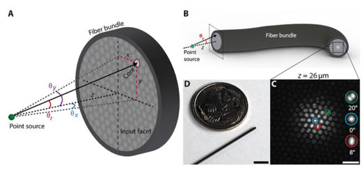 A New Class of Light Field Sensor: Researchers Unlock Optical Fiber Bundles For Light Field Endoscopy (image: Orth et al. 2019)